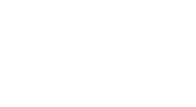 logo s21 sec